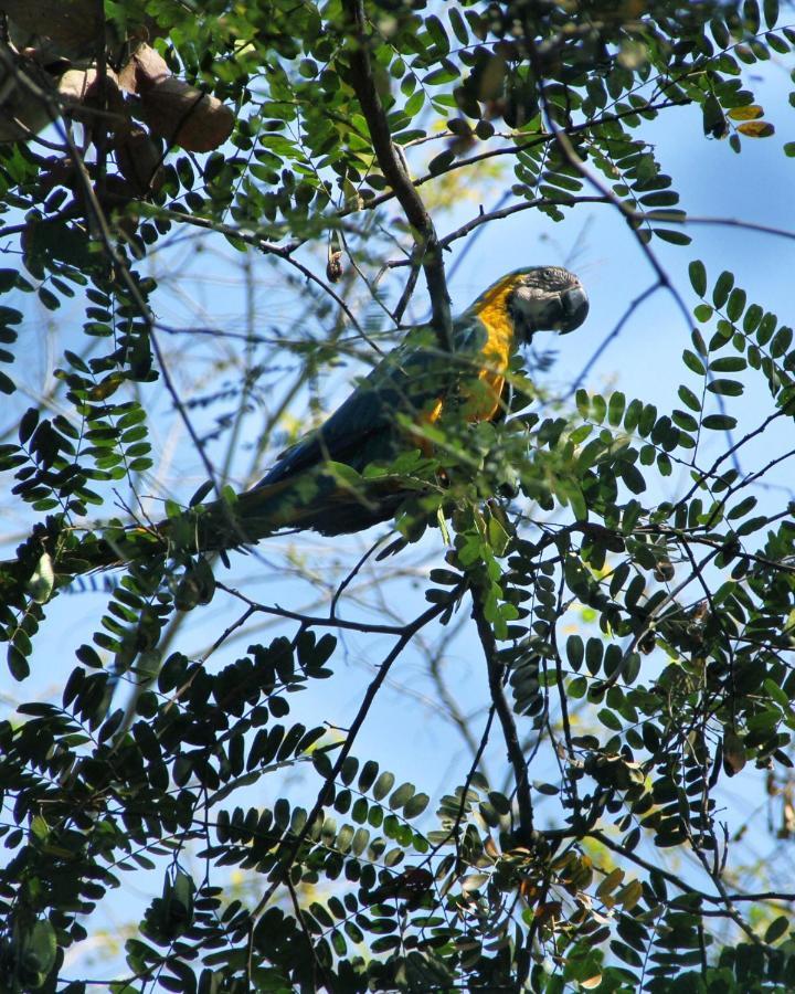 Thermas Goias - Park Veredas ริโอเกนจิ ภายนอก รูปภาพ